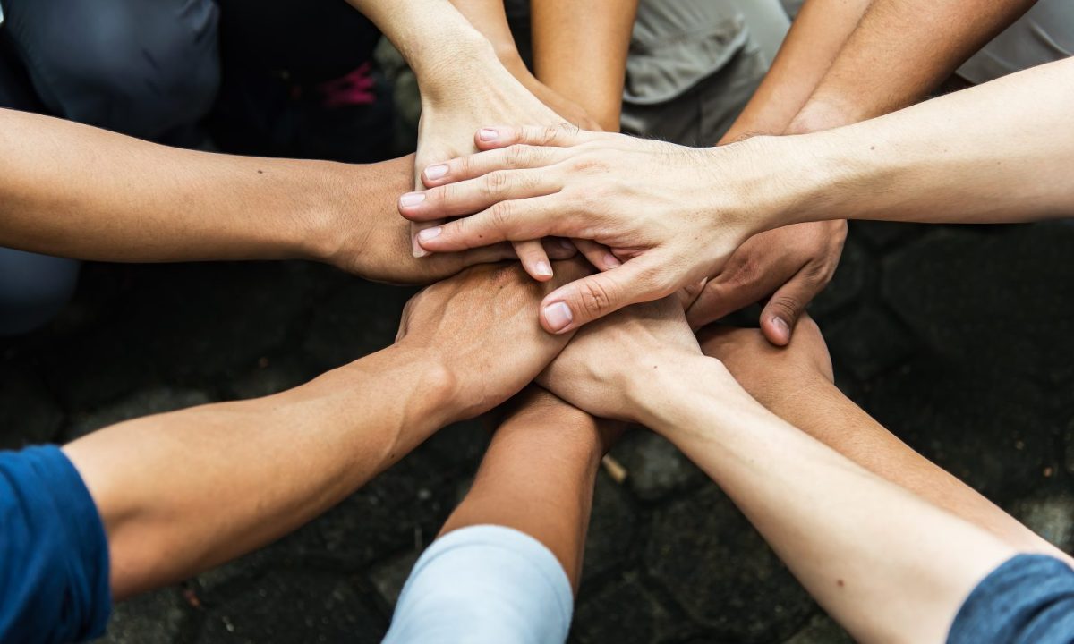 Retrospectiva 2022: último O Gasista resgata conquistas da categoria